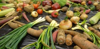 alimente romania