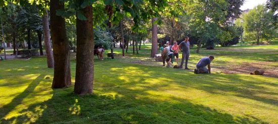 spatii verzi cluj parc central