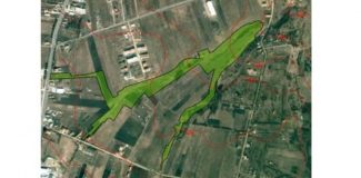 parc buna ziua Becas cluj-napoca0