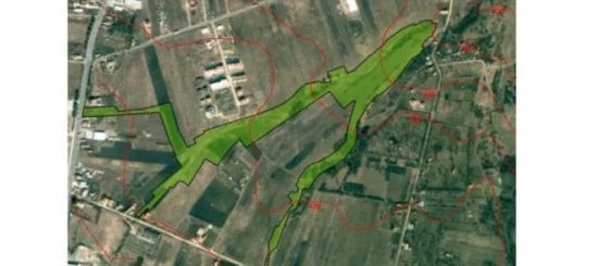 parc buna ziua Becas cluj-napoca0