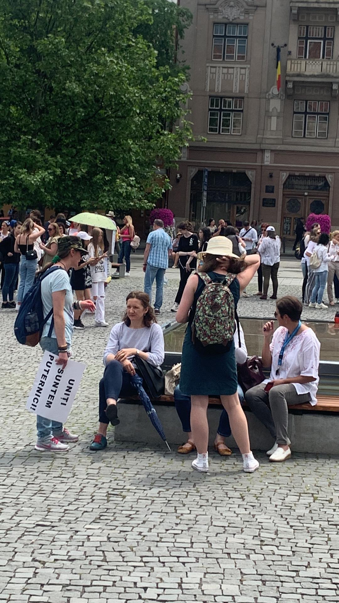 porofesori cluj piata unrii