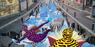 pictura cluj blunberg cluj-napoca