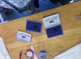 algeri vot prezidentiale cluj-napoca