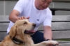Emil Boc primar cluj catel labrador golden retriver