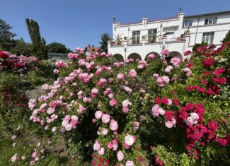 saptamana aniversara la gradina botanica cluj