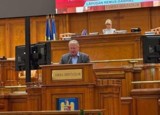 deputatul psd de cluj remus lapusan parlament