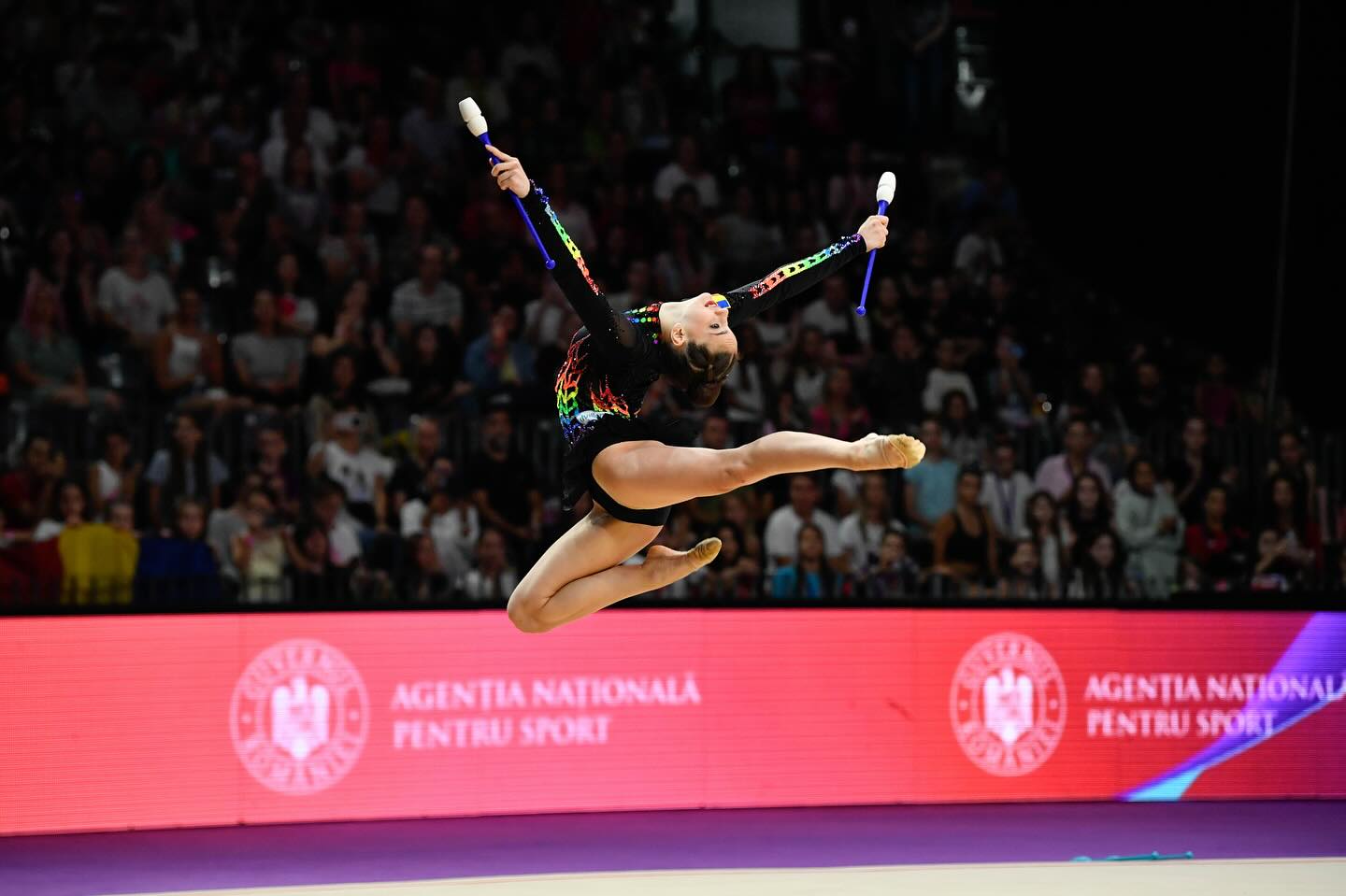 campionat mondial gimnastica ritmica cluj sala polivalenta