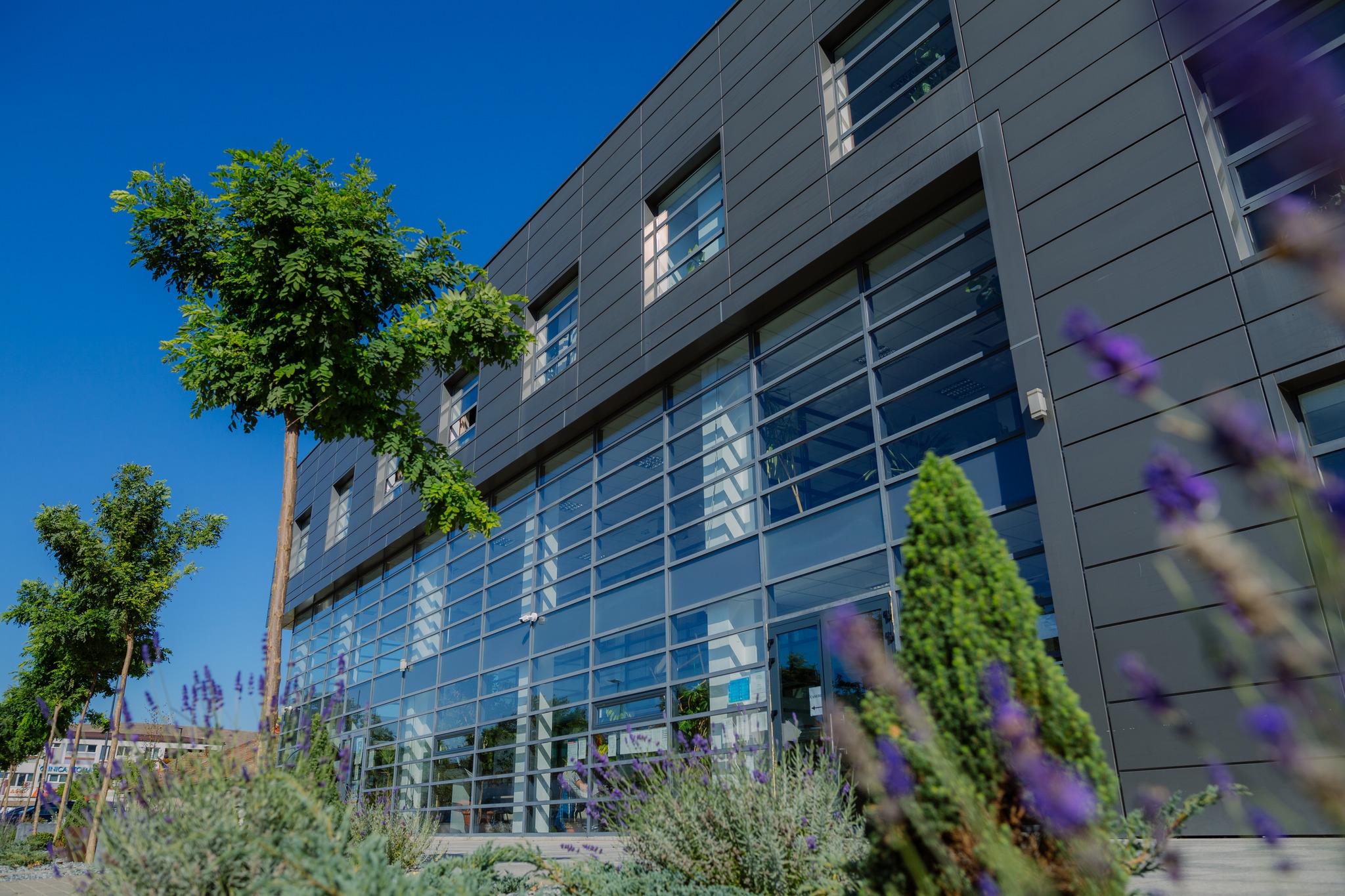 sediu primaria floresti judetul cluj