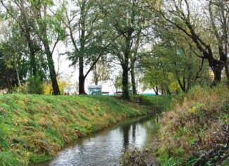 canalul morii parcul rozelor