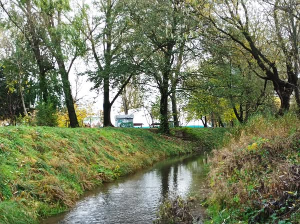 canalul morii parcul rozelor