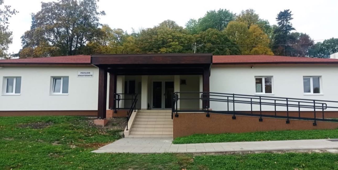 pavilion spital boli psihice borsa