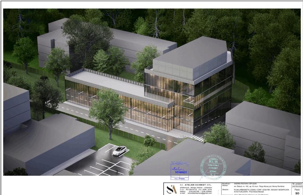 proiect simulat ateleir schmidt