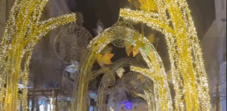 iluminat festiv universitatii cluj