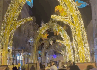 iluminat festiv universitatii cluj