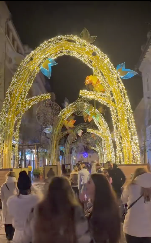 iluminat festiv universitatii cluj