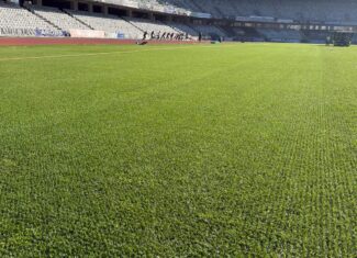 cluj arena gazon hibrid cluj