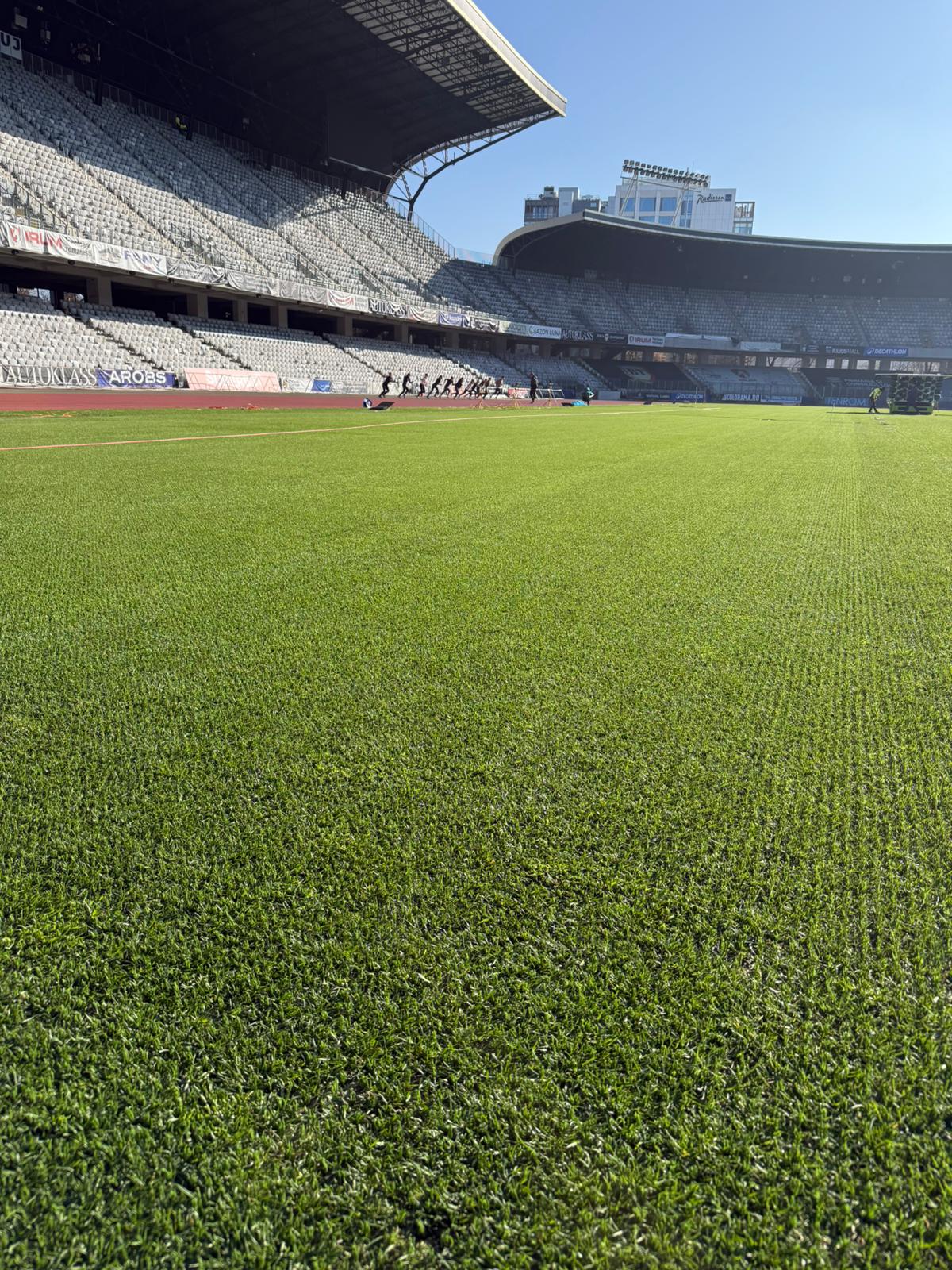 cluj arena gazon hibrid cluj
