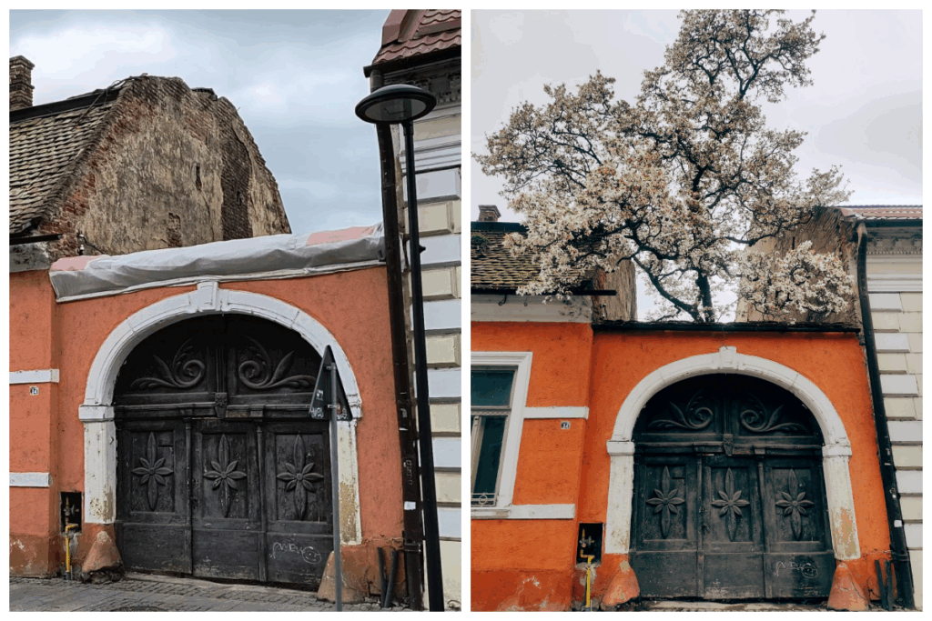casa cu magnolii bratianu