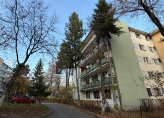 copaci cluj toaletari 5