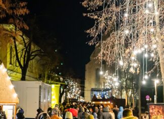 daisler, targ craciun, kogalncienau, cluj