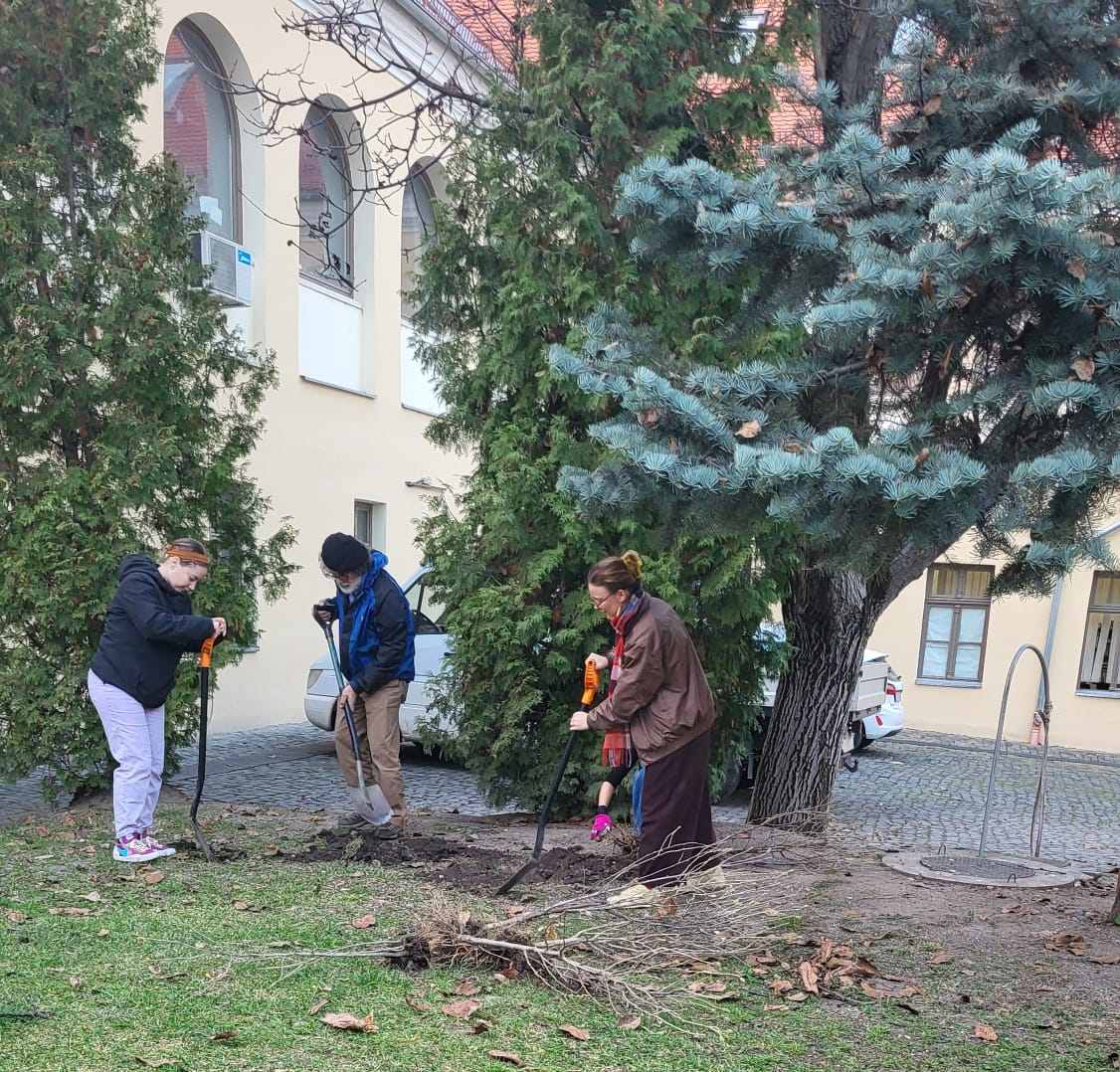 curte muzeu etnografic plantari