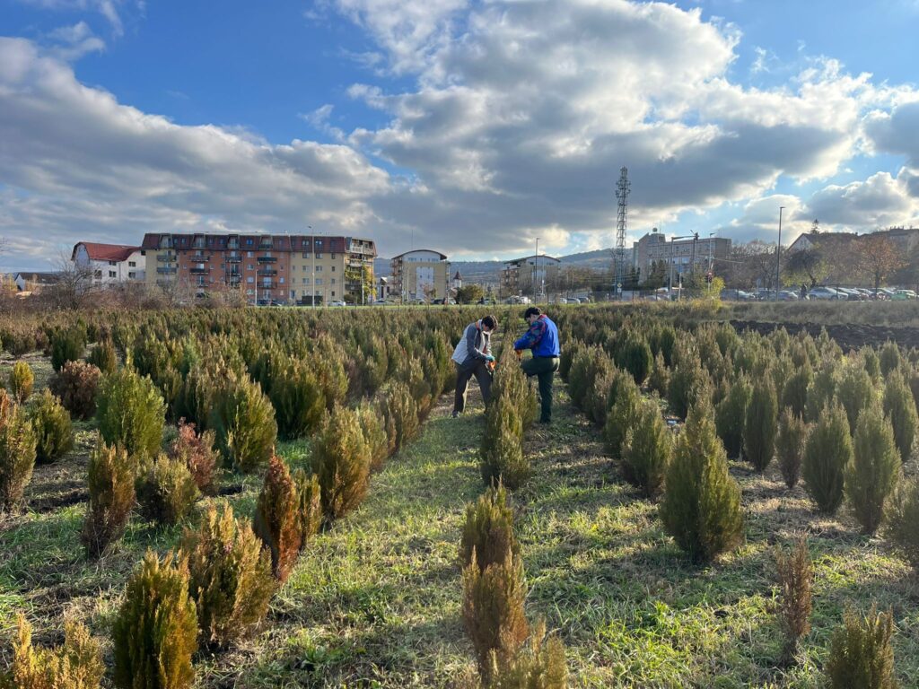 statiune cercetare USMV Tuia