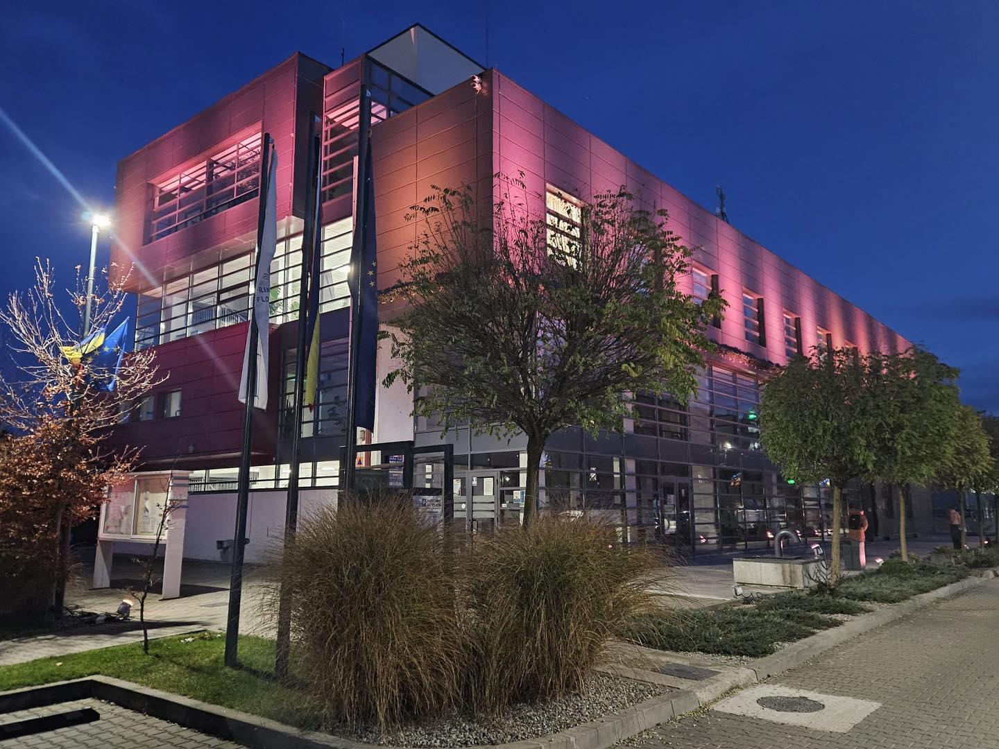 Ziua Internațională pentru Eliminarea Violenței împotriva Femeilor cluj