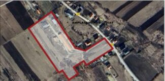 proiect imobilair flroesti ferma porci