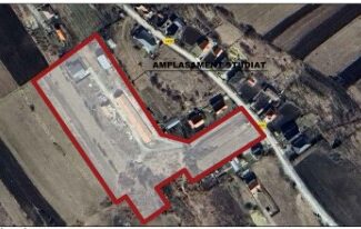 proiect imobilair flroesti ferma porci