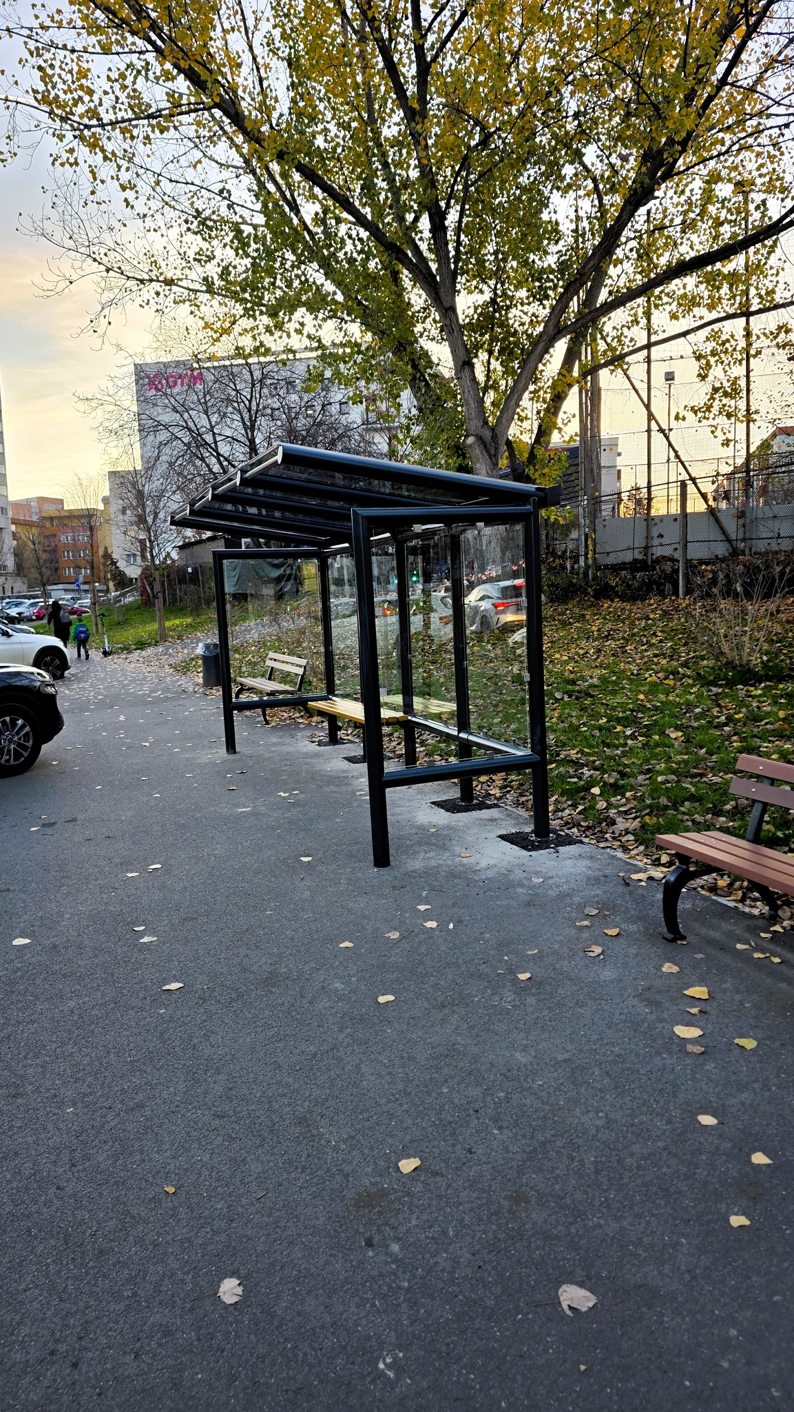 statii autobuz cu acoperis si panou lateral cluj dupex primaria cluj primaria cluj dan tarcea