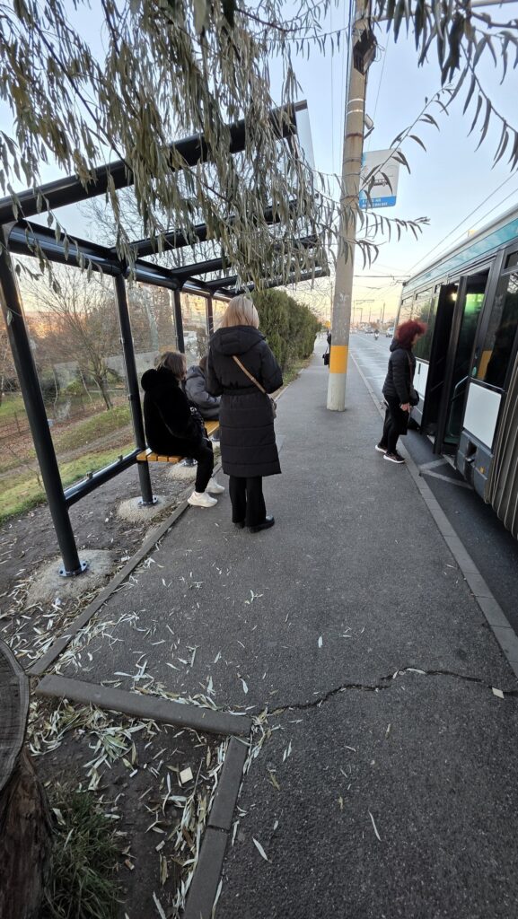 statii autobuz cu acoperis si panou lateral cluj dupex primaria cluj 6