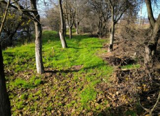 cale-ferata-dupa gienizare-cluj 6