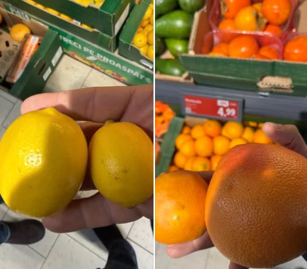 citrice de proasta calitate romania