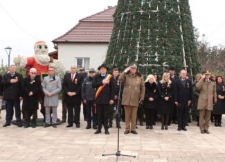 primarul din mihai viteazul si politia locala