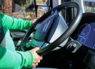 șofer de camion / sursa pixabay.com