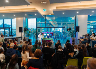 Teatru de papusi Iulius Mall