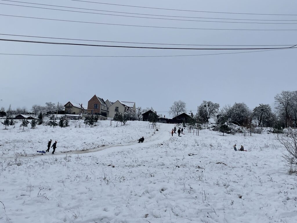 padurea hoia zapaha 2026