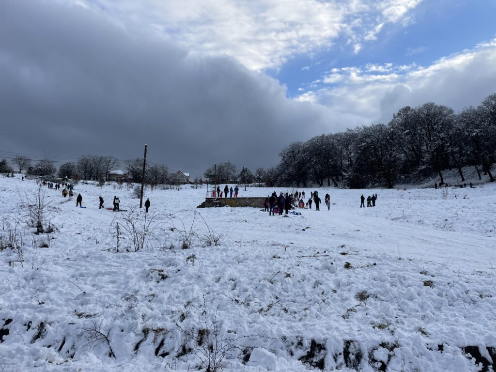 cu sania in cluj hoia