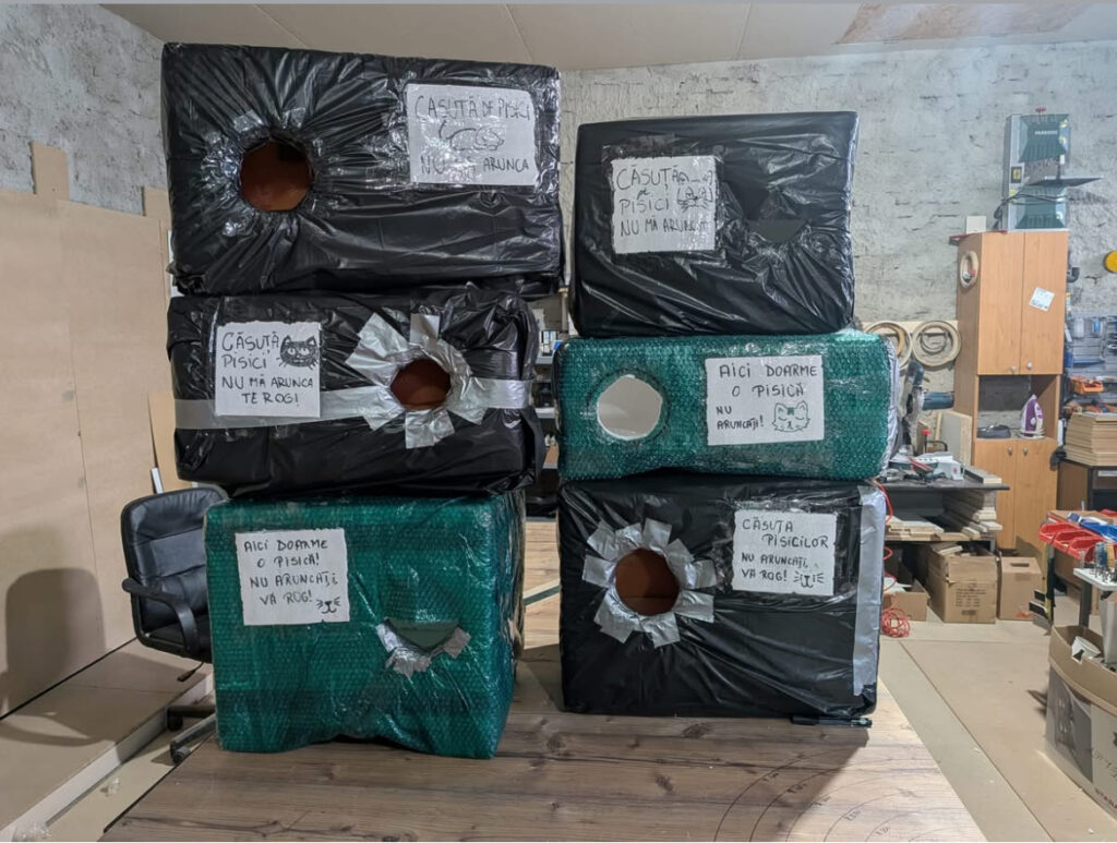 Voluntari casute animale cluj