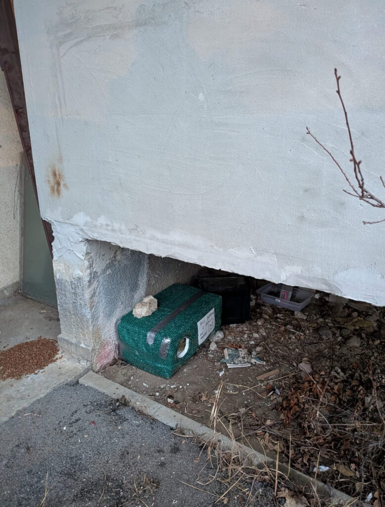 Voluntari casute animale cluj case pisici