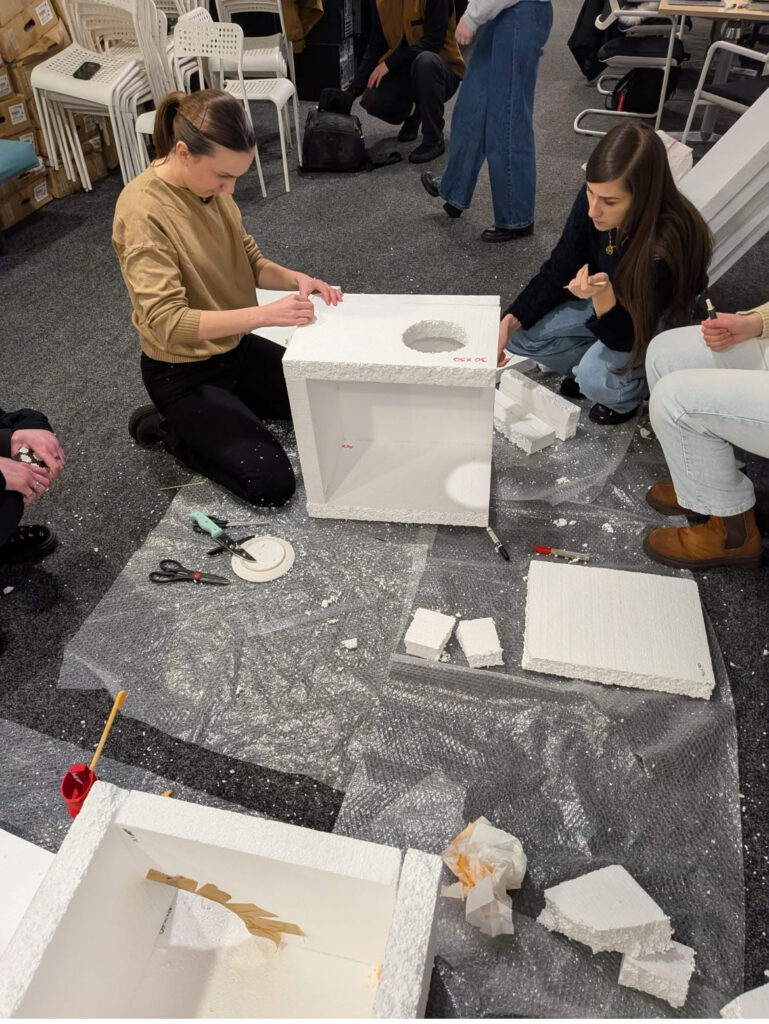 Voluntari casute animale cluj pisici cartiere