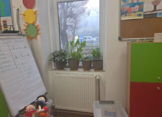 scoala la tara in cluj cojocna