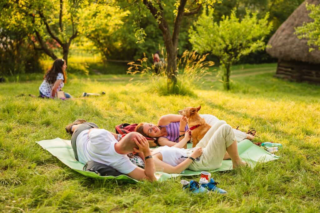jazz cluj festival parcul etnografic romulus vuia