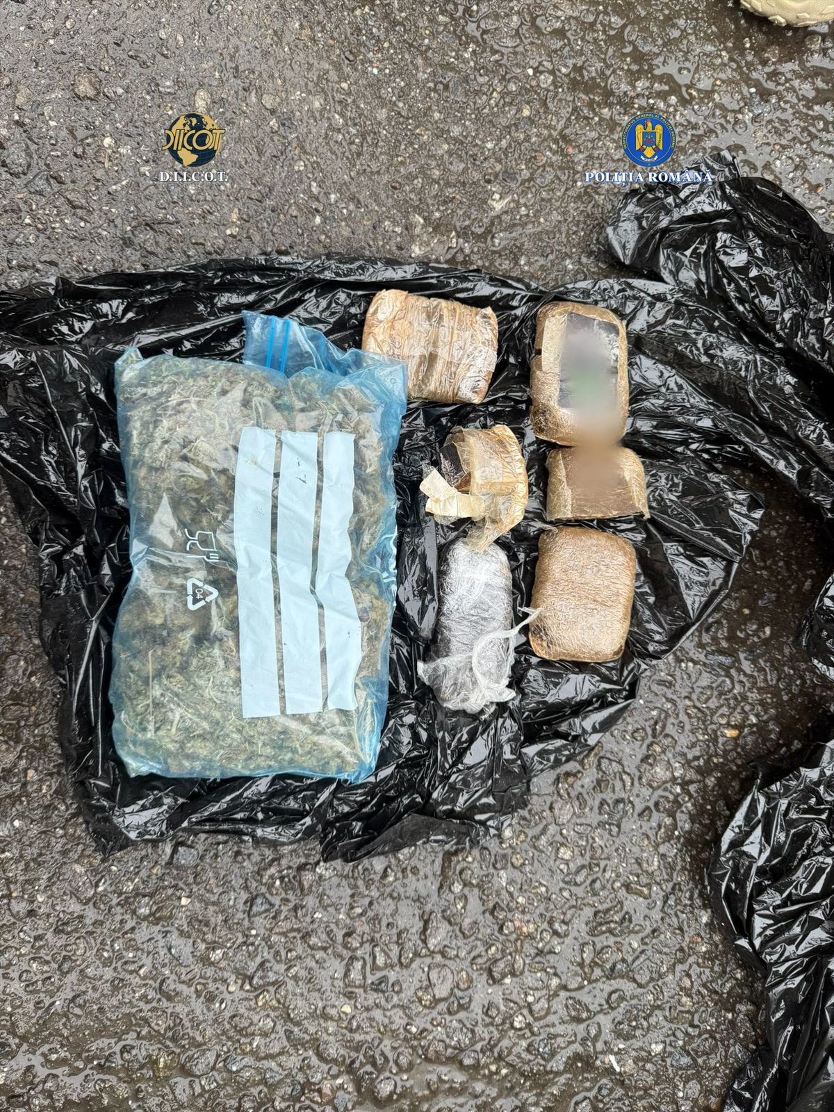 cannabis sursa IPJ Cluj