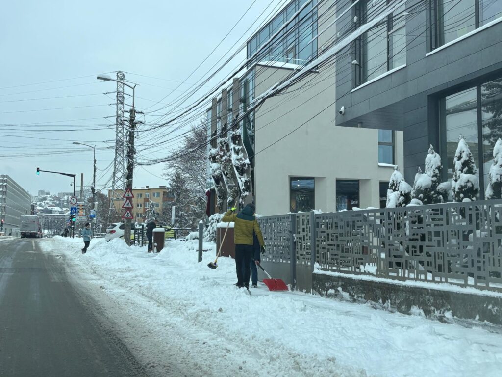zapada cluj la lopata