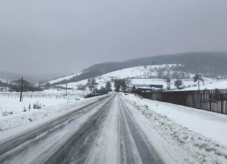 drumuri judetene cluj sitri