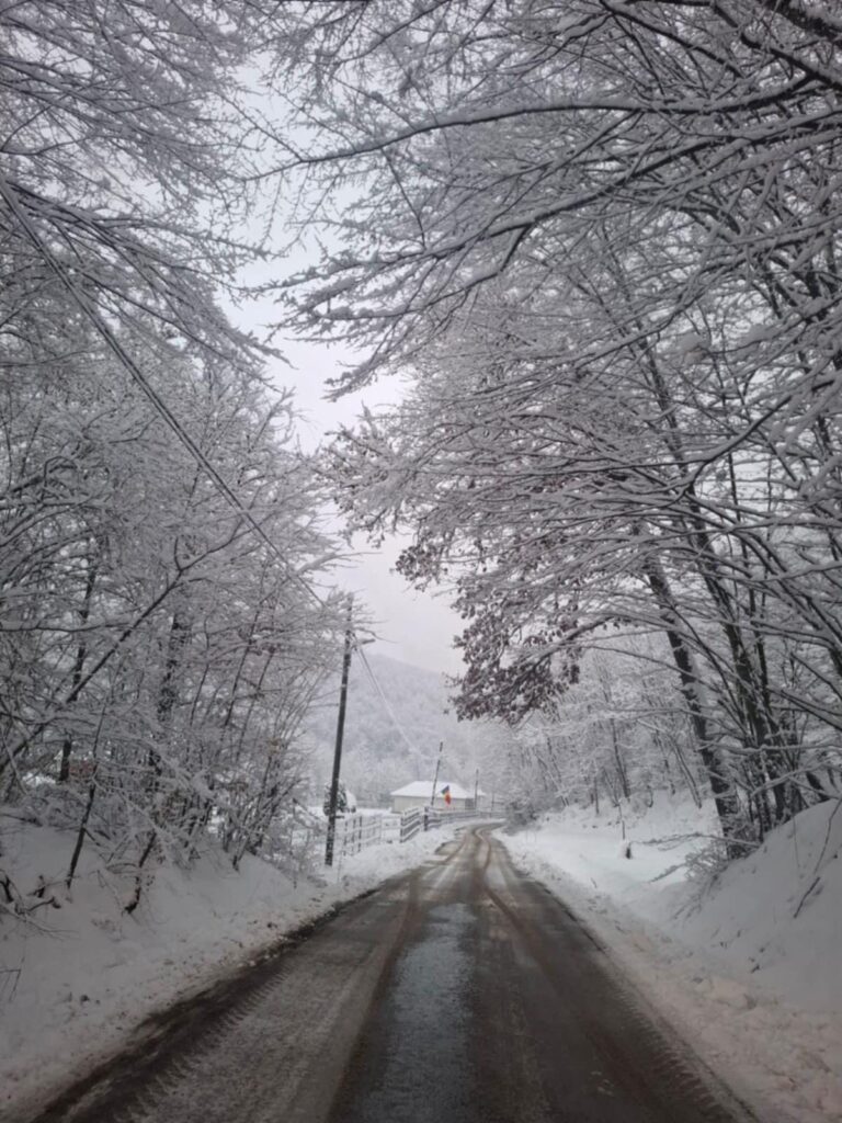 zapaha cluj drumuri