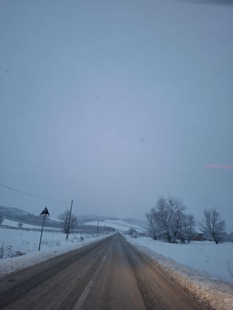 zapaha deszapezire cluj