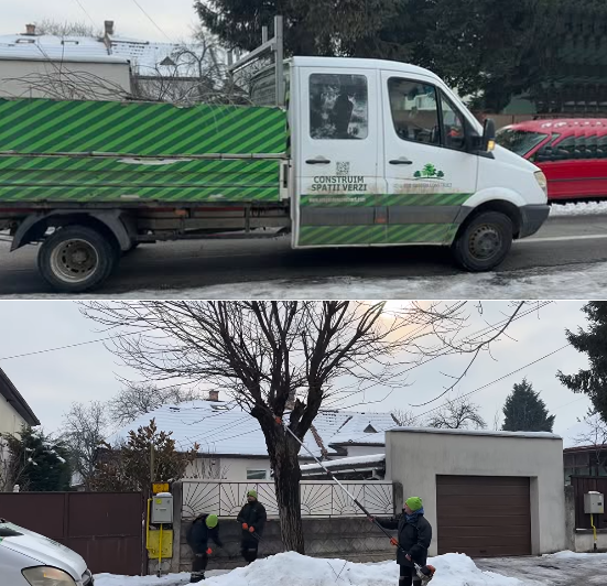 eco garden construct spatii verzi taie copacii in grigorescu