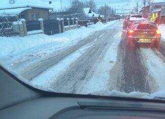 deszapezire flroesti dezastru sitri cluj lukarom